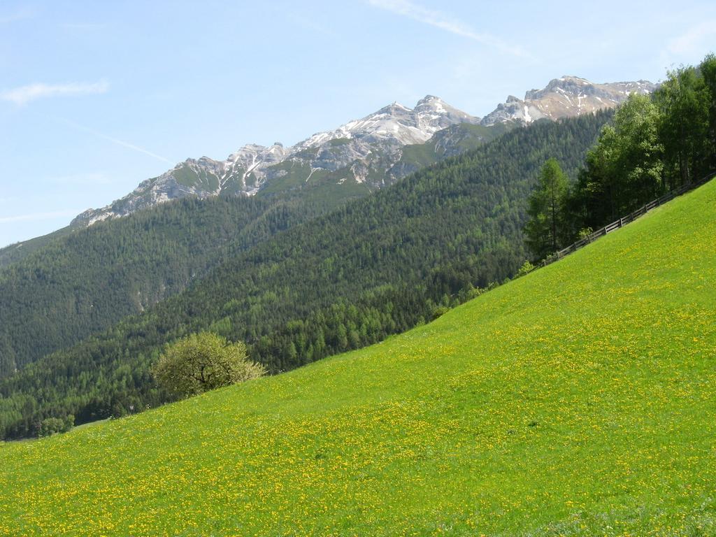 Ferienwohnung Halder Neustift im Stubaital Εξωτερικό φωτογραφία