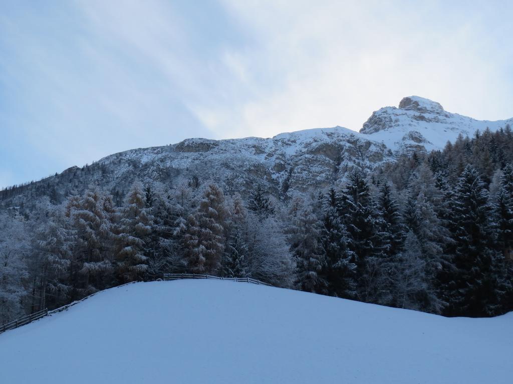 Ferienwohnung Halder Neustift im Stubaital Εξωτερικό φωτογραφία